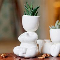 набор для выращивания eco йог в Нижнем Новгороде