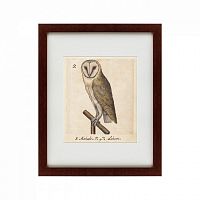 картина: one owl, 1560 в Нижнем Новгороде