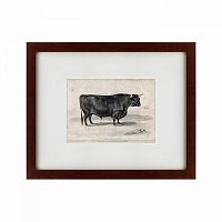 картина: a west highland bull, 1840 в Нижнем Новгороде