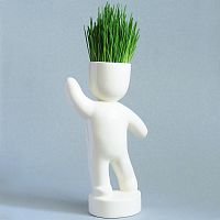 набор для выращивания eco победитель в Нижнем Новгороде