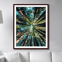 картина: deep forest в Нижнем Новгороде