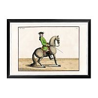 арт-постер «верховая езда, урок № 9» в Нижнем Новгороде