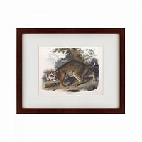 картина: bobcat, 1839 в Нижнем Новгороде