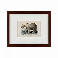 картина: white polar bear on an ice, 1830 в Нижнем Новгороде