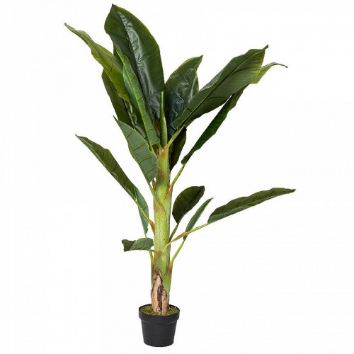 декор банановый куст в Нижнем Новгороде