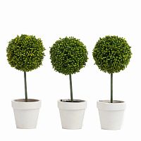 набор из 3 декоративных растений в горшке tallman в Нижнем Новгороде