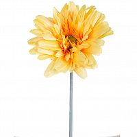гербера жёлтая 79 см (24) в Нижнем Новгороде