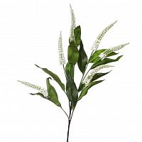 итея белая 84 см (36) в Нижнем Новгороде