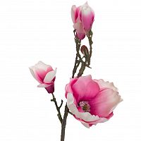 магнолия нежно-розовая 66 см (12) в Нижнем Новгороде