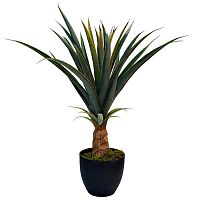 декоративное растение куст ананаса в горшке 73 см в Нижнем Новгороде