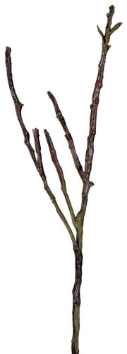 декор dry branches в Нижнем Новгороде