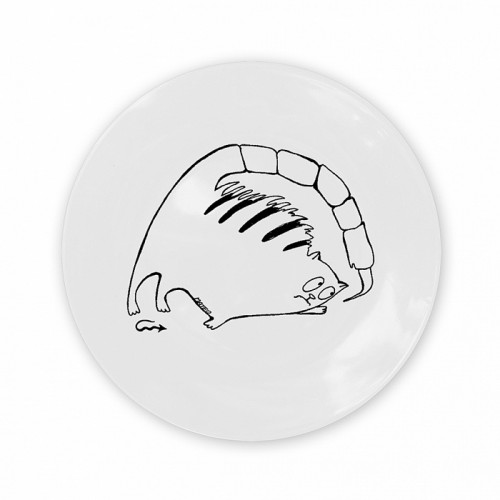 тарелка кот-скорпион в Нижнем Новгороде