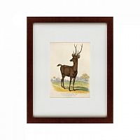 картина: a rusa deer, 1830 в Нижнем Новгороде