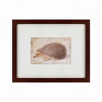 картина: a hedgehog, 1584 в Нижнем Новгороде