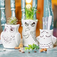 горшки для растений eco совы, 3 шт в Нижнем Новгороде