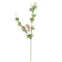 декоративное растение душистый горошек розовый 105 см в Нижнем Новгороде