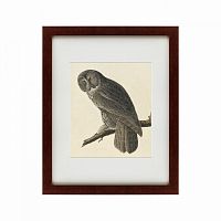 картина: great gray owl, 1834 в Нижнем Новгороде