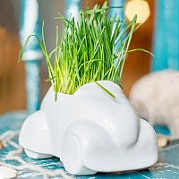 набор для выращивания eco машина в Нижнем Новгороде