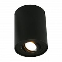 потолочный светильник arte lamp a5644pl-1bk в Нижнем Новгороде