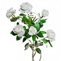 роза белая 71 см (12) в Нижнем Новгороде