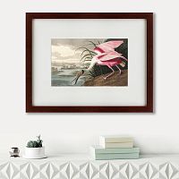 картина: roseate spoonbill, 1827 в Нижнем Новгороде
