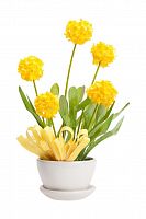 декоративный цветок parsel в Нижнем Новгороде