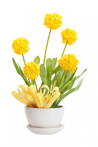 декоративный цветок parsel в Нижнем Новгороде