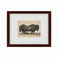 картина: bison, 1828 в Нижнем Новгороде