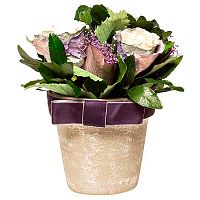 цветочная композиция с розами в горшке 17х21 в Нижнем Новгороде