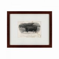 картина: a devon steer, 1869 в Нижнем Новгороде