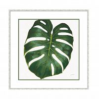 постер monstera зеленый в Нижнем Новгороде