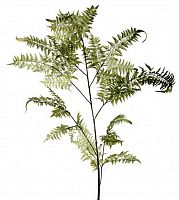 декор fl12056 (giant fern) в Нижнем Новгороде