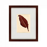 картина: the dark red leaf, 1881 в Нижнем Новгороде