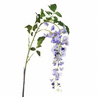 глициния сиреневая 142 см (18) в Нижнем Новгороде