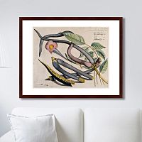 картина: exotic plants of the world №12, 1815г. в Нижнем Новгороде