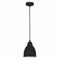 подвесной светильник arte lamp braccio a2054sp-1bk в Нижнем Новгороде