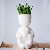 набор для выращивания eco романтик в Нижнем Новгороде