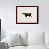 картина: rhinoceros ancienne gravure, 1849 в Нижнем Новгороде
