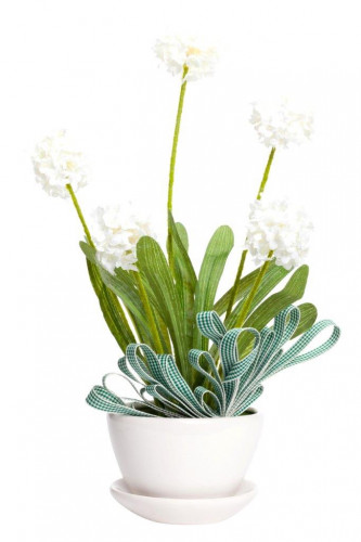 декоративный цветок walley в Нижнем Новгороде