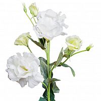 лизиантус белый 77 см (12) в Нижнем Новгороде