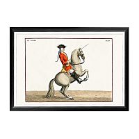 арт-постер «верховая езда, урок № 1» в Нижнем Новгороде