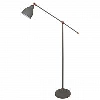 торшер arte lamp braccio a2054pn-1gy в Нижнем Новгороде