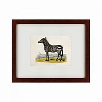 картина: a zebra, 1830 в Нижнем Новгороде