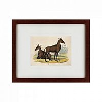картина: two nilgais, 1830 в Нижнем Новгороде