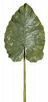 декор giant taro leaf в Нижнем Новгороде