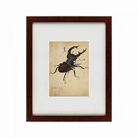 картина: stag beetle, 1505 в Нижнем Новгороде