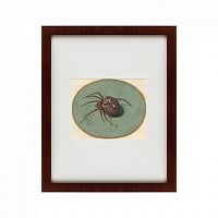 картина: spider, 1690 в Нижнем Новгороде