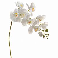 искусственный цветок орхидея белая 105 см в Нижнем Новгороде