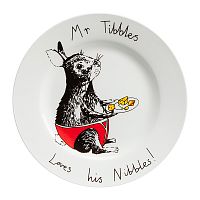 тарелка mr tibbles в Нижнем Новгороде