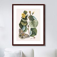 картина: beauty bloom №3, 1732г. в Нижнем Новгороде